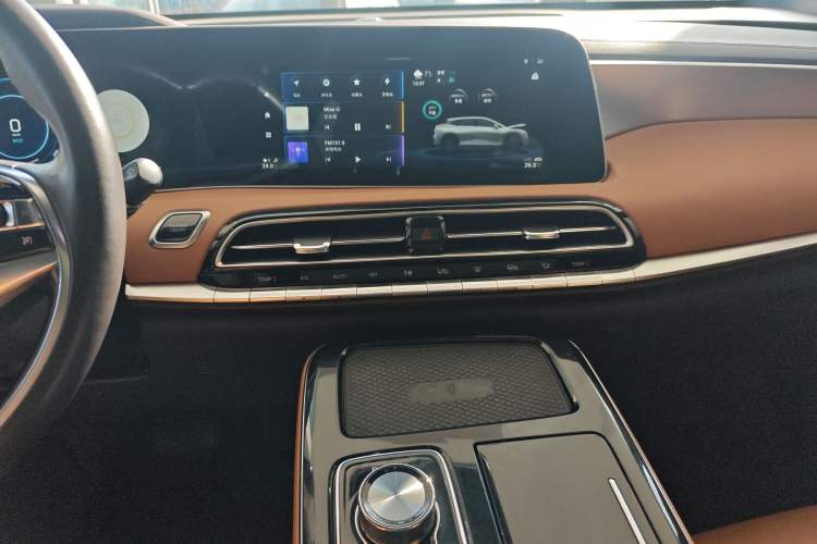 Used AION LX 2019 80D Max Audio And AC Panel