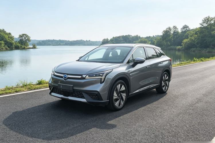 Used AION LX 2019 80 Exterior 2