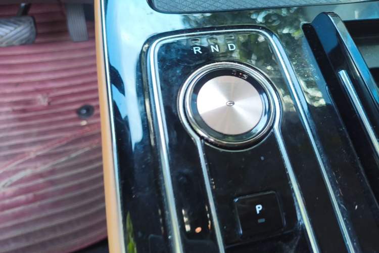 Used AION LX 2019 80 Gear Lever