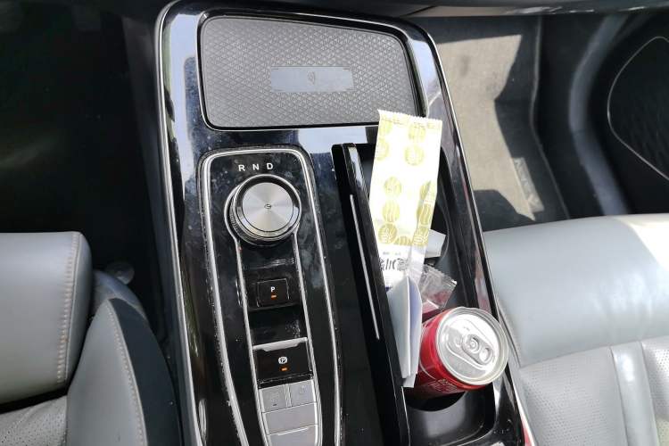 Used AION LX 2019 80D Gear Lever
