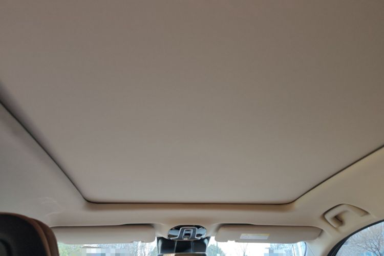 Used AION LX 2019 80 Headliner