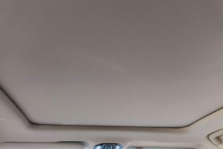 Used AION LX 2019 80 Headliner