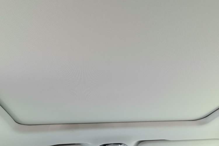 Used AION LX 2019 80D Headliner