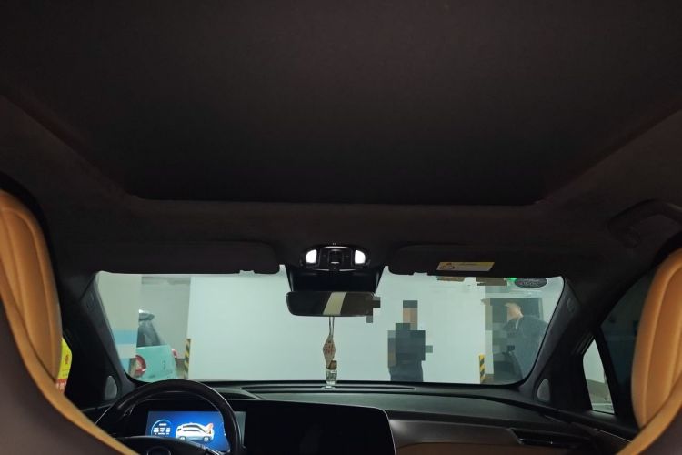 Used AION LX 2019 80 Headliner