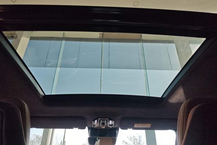 Used AION LX 2019 80D Max Headliner