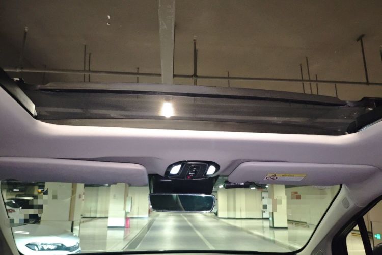 Used AION LX 2019 80 Headliner