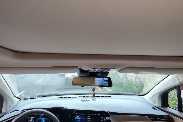 Used AION LX 2019 80 Headliner