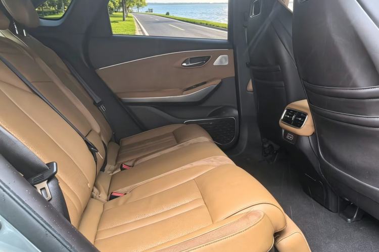 Used AION LX 2019 80 Interior 1