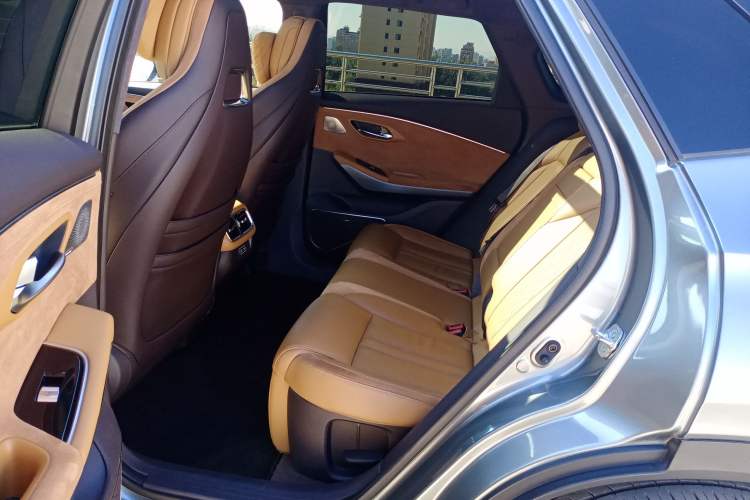 Used AION LX 2019 80 Interior 1