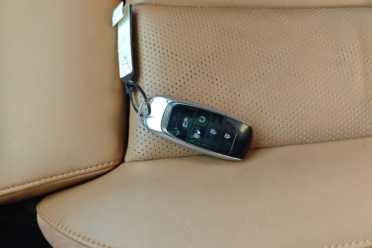 Used AION LX 2019 80D Max Interior 1
