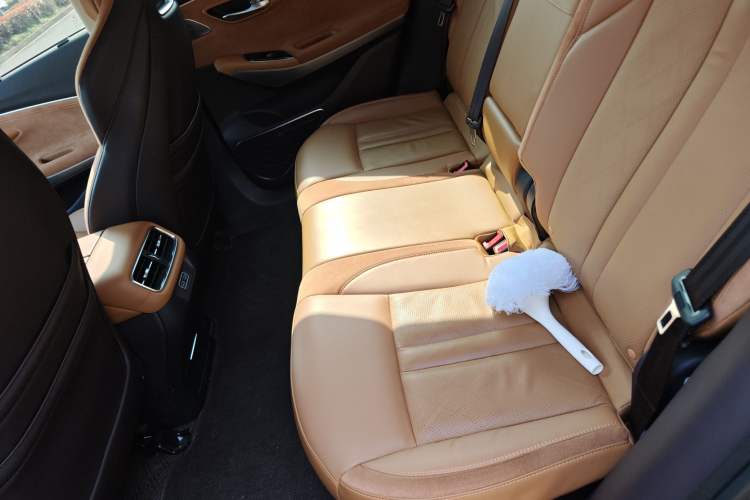 Used AION LX 2019 80 Left Rear Seat