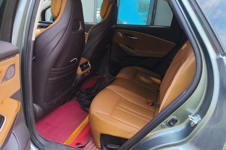 Used AION LX 2019 80 Left Rear Seat