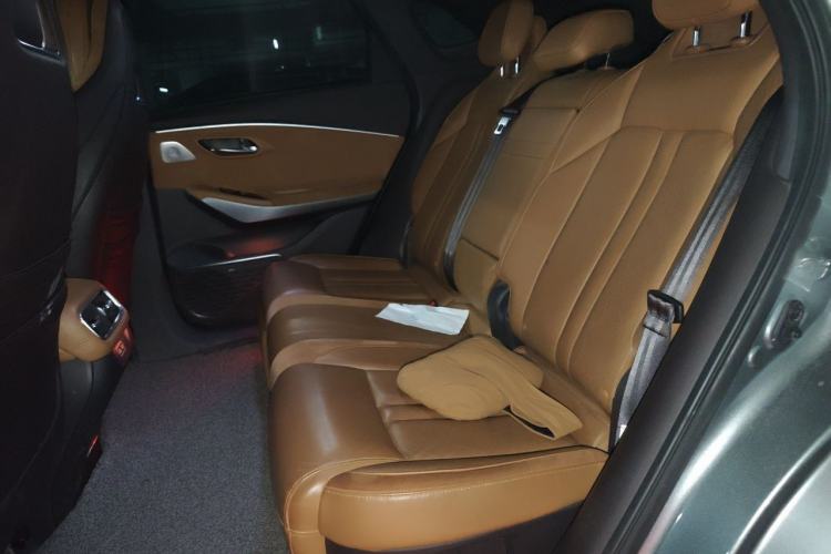 Used AION LX 2019 80 Left Rear Seat