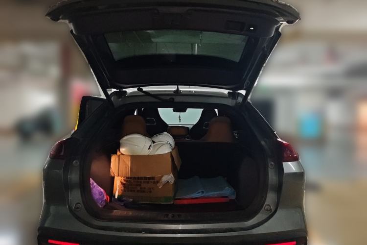 Used AION LX 2019 80 Trunk