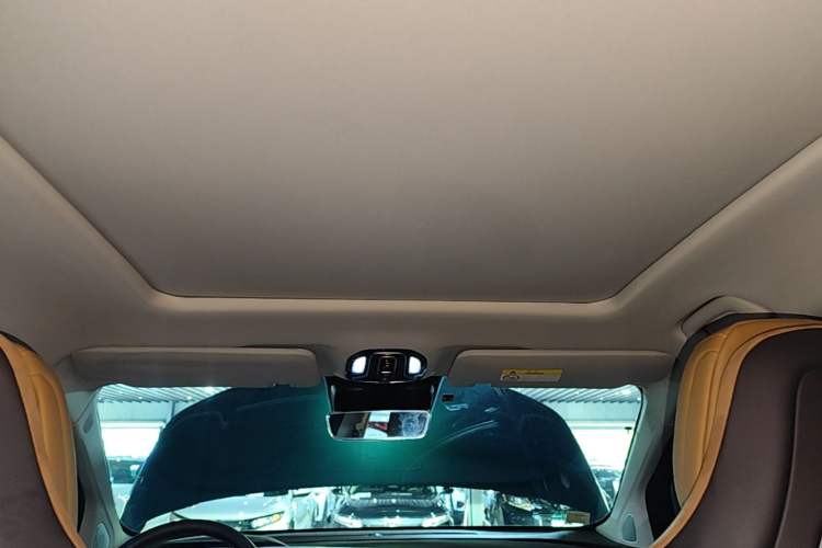 Used AION LX 2019 80D Headliner