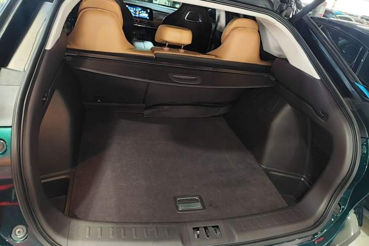 Used AION LX 2019 80D Trunk
