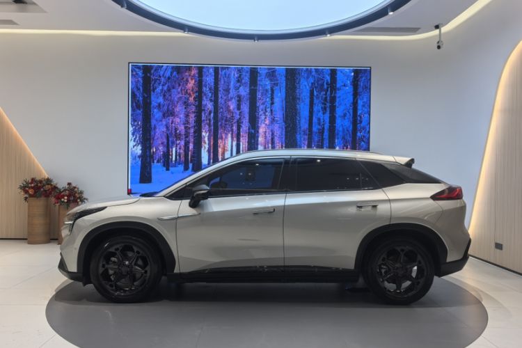 Used AION LX 2019 80 Exterior 1