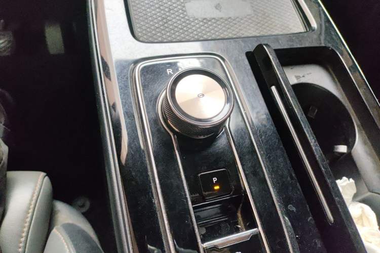 Used AION LX 2019 60 Gear Lever
