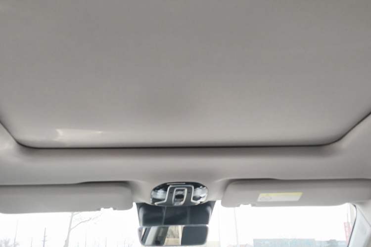 Used AION LX 2019 80 Headliner