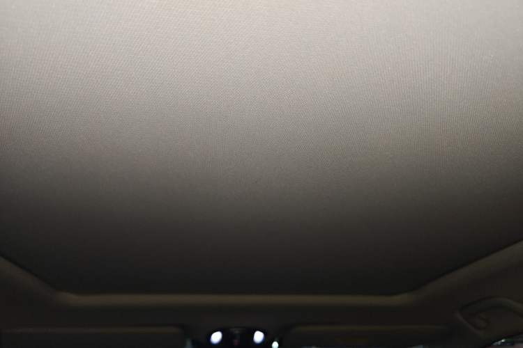 Used AION LX 2019 80 Headliner