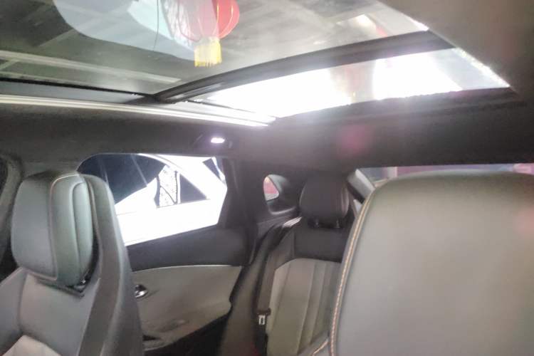 Used AION LX 2019 80 Headliner