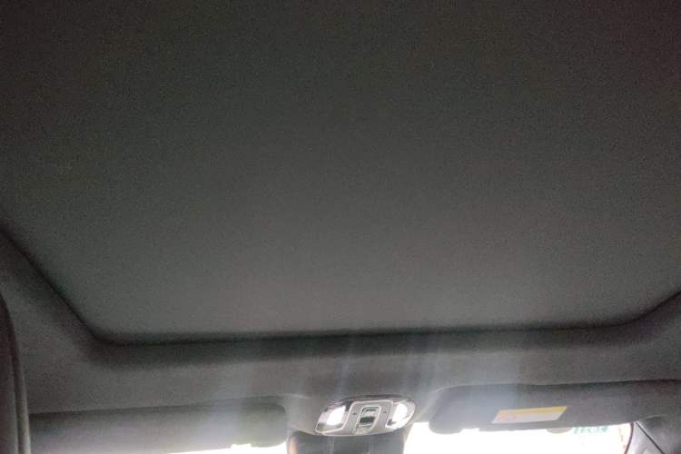 Used AION LX 2019 60 Headliner