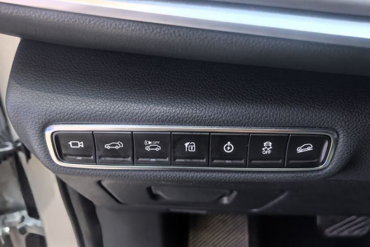 Used AION LX 2019 80 Interior 13