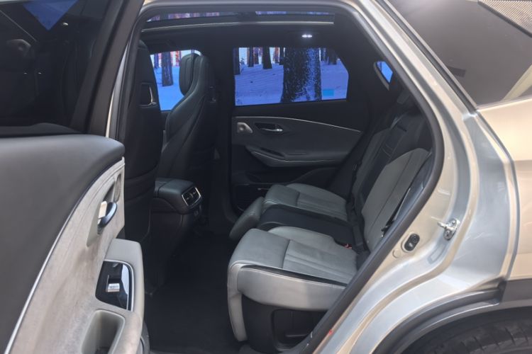 Used AION LX 2019 80 Interior 2
