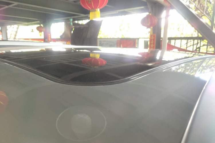 Used AION LX 2019 80 Roof