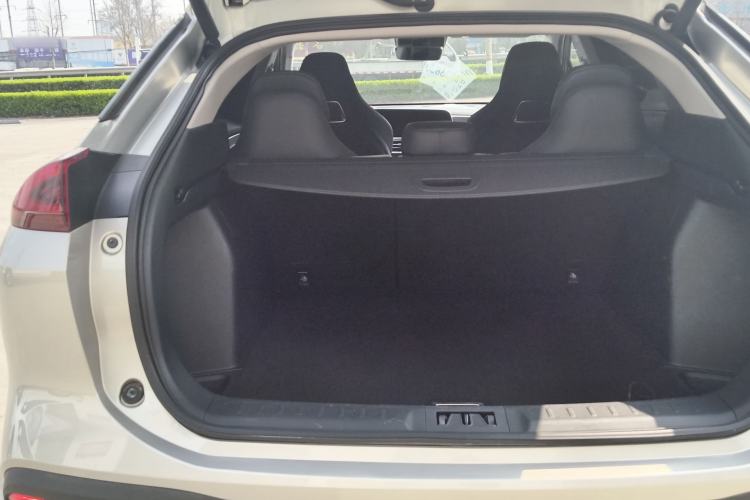 Used AION LX 2019 80 Trunk