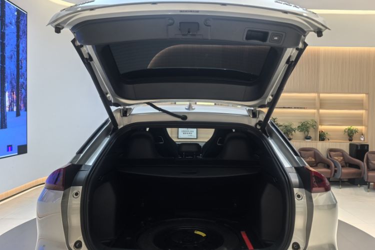 Used AION LX 2019 80 Trunk