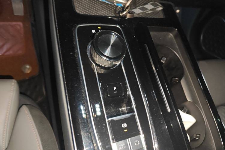 Used AION LX 2019 80D Max Gear Lever