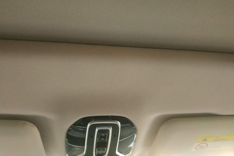 Used AION LX 2019 70 Headliner