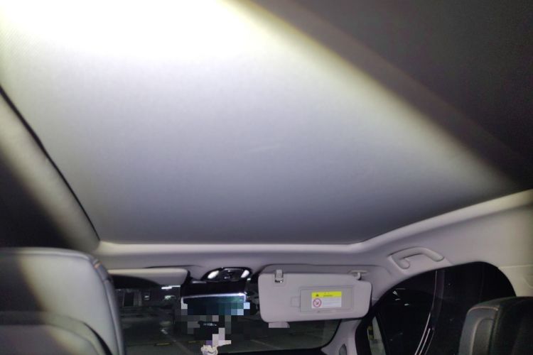 Used AION LX 2019 80 Headliner