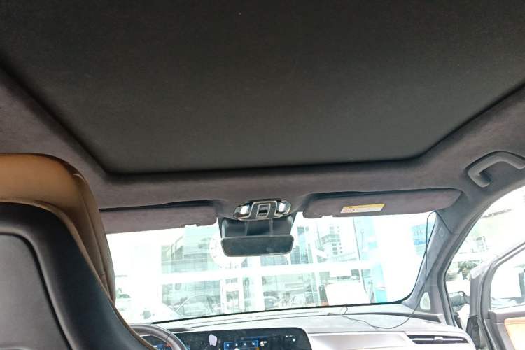Used AION LX 2019 80D Headliner