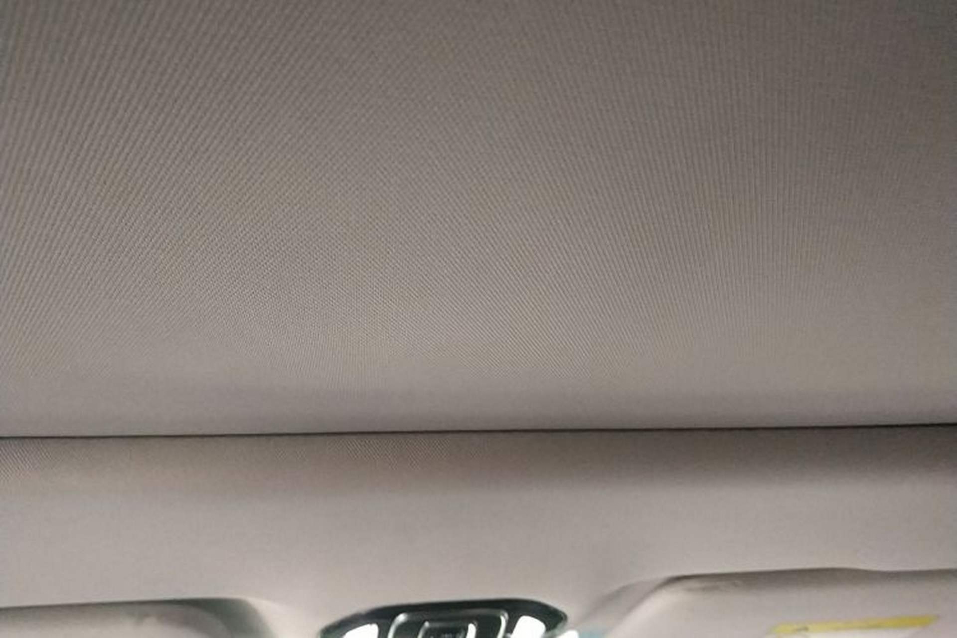 Used AION LX 2019 70 Headliner