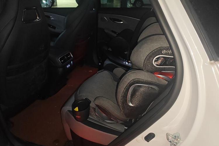 Used AION LX 2019 80D Max Interior 4