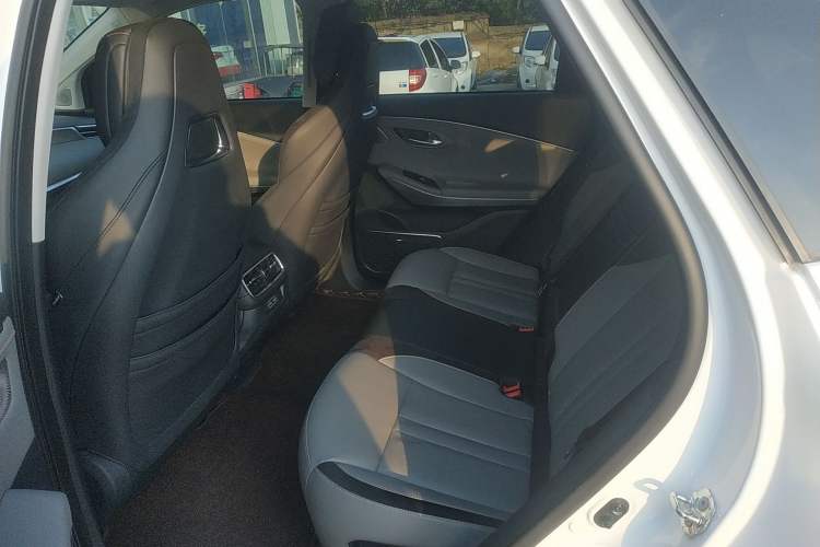 Used AION LX 2019 70 Left Rear Seat