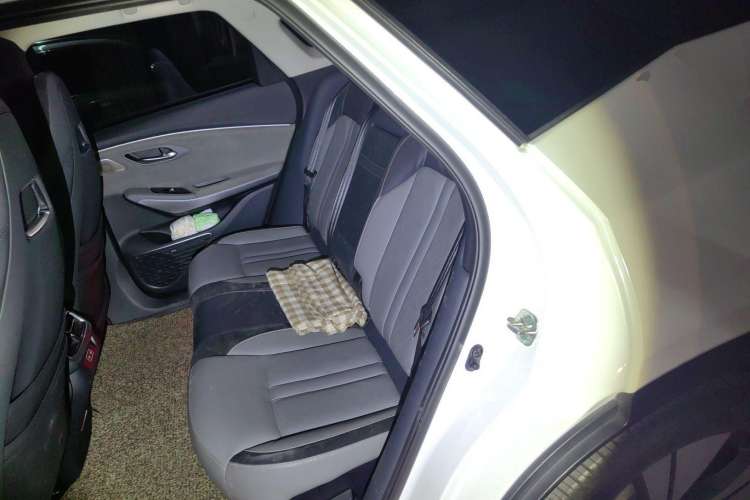 Used AION LX 2019 80 Left Rear Seat
