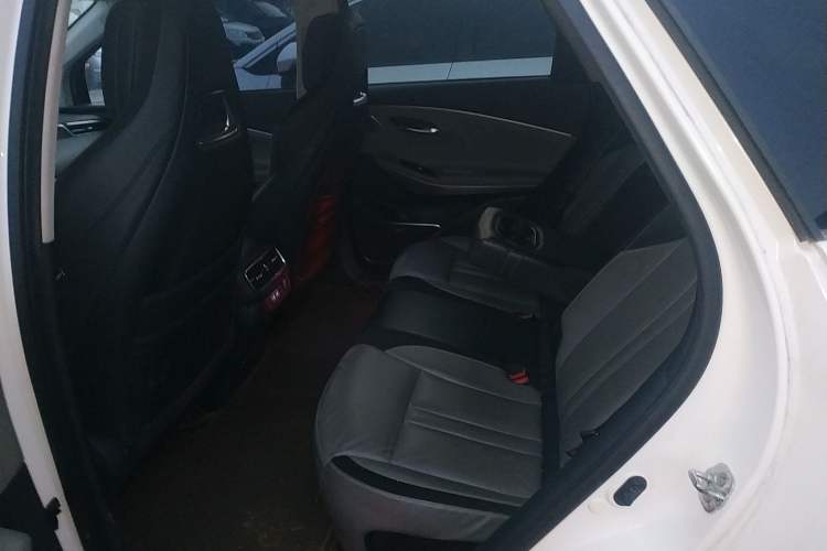 Used AION LX 2019 70 Left Rear Seat