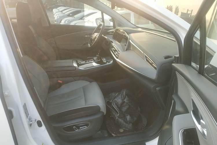 Used AION LX 2019 70 Right Front Seat