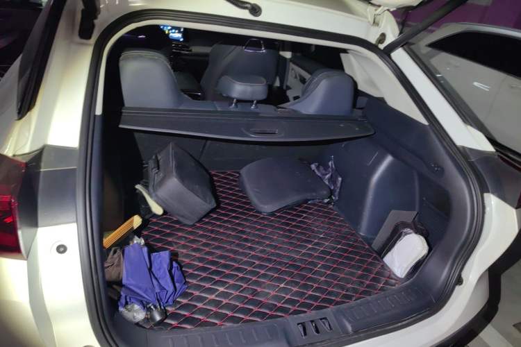 Used AION LX 2019 80 Trunk