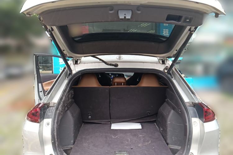 Used AION LX 2019 80D Trunk