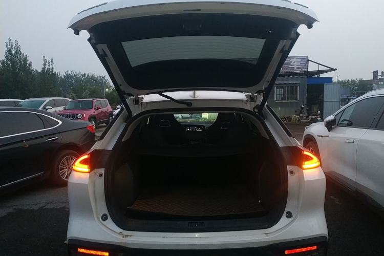 Used AION LX 2019 70 Trunk