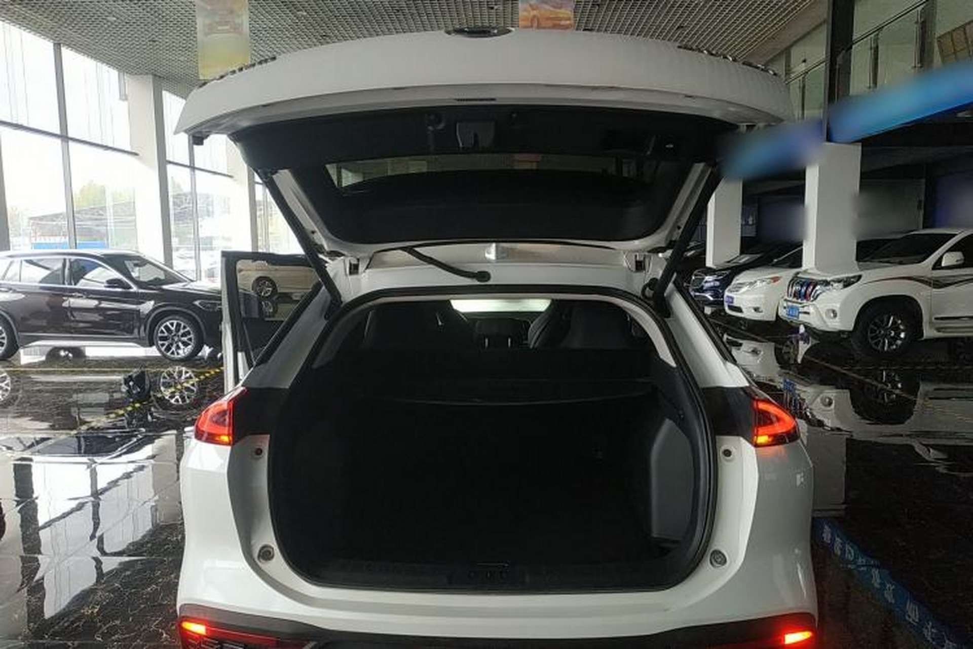Used AION LX 2019 70 Trunk