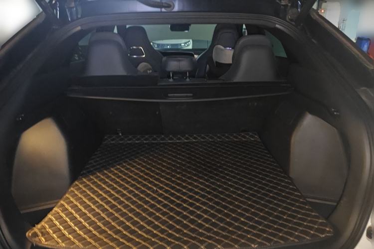 Used AION LX 2019 80D Max Trunk
