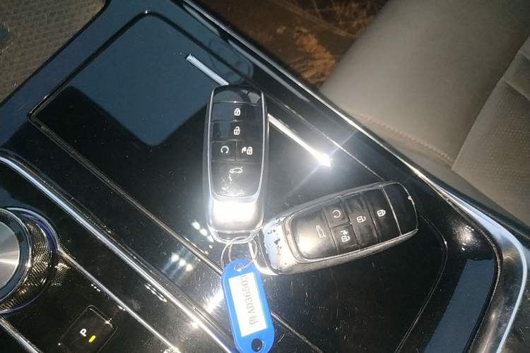 Used AION LX 2019 70 Vehicle Key