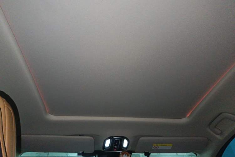 Used AION LX 2019 80D