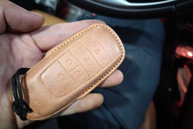 Used AION LX 2019 80D