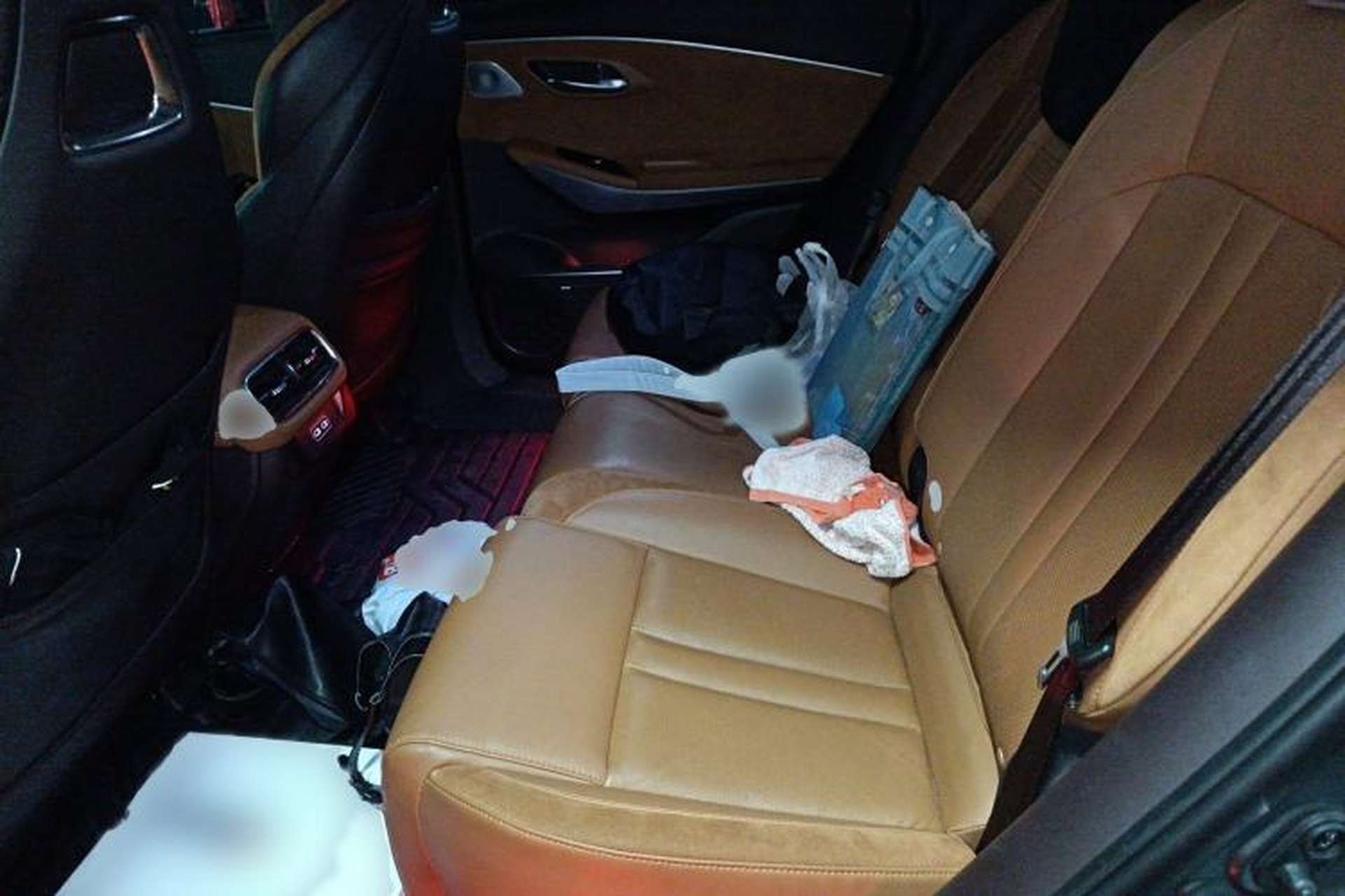 Used AION LX 2019 80D Interior 4